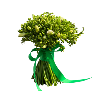 Buchet 55 Frezii Albe