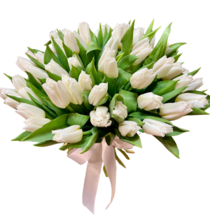 Buchet 51 lalele albe